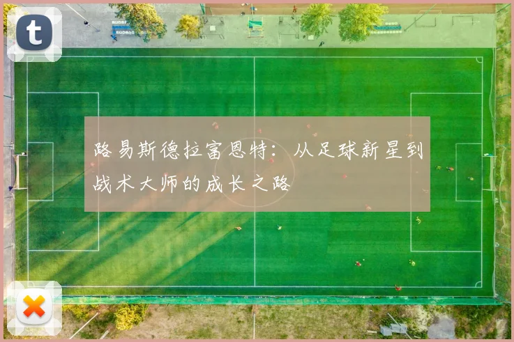 路易斯德拉富恩特：从足球新星到战术大师的成长之路