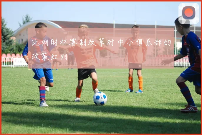 比利时杯赛制改革对中小俱乐部的政策红利
