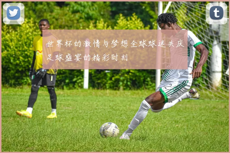 世界杯的激情与梦想全球球迷共庆足球盛宴的精彩时刻