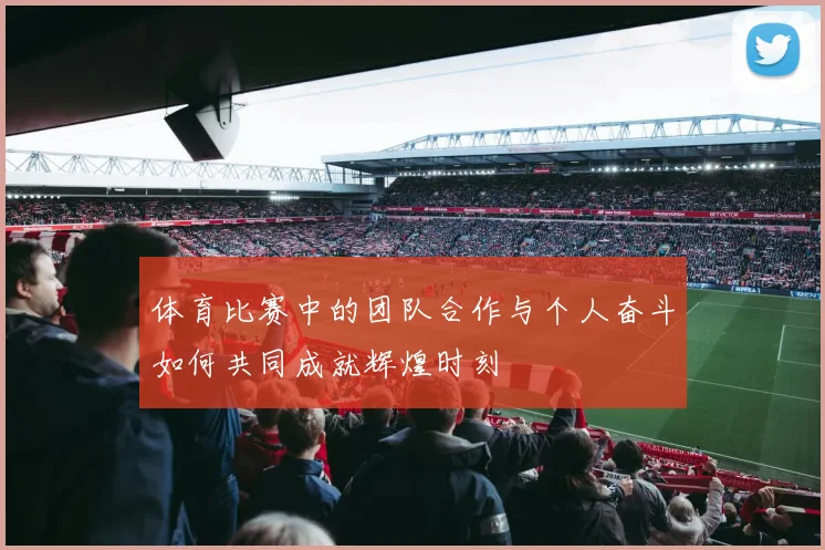 体育比赛中的团队合作与个人奋斗如何共同成就辉煌时刻