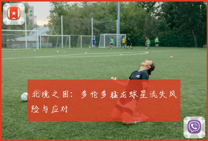 北境之困：多伦多猛龙球星流失风险与应对