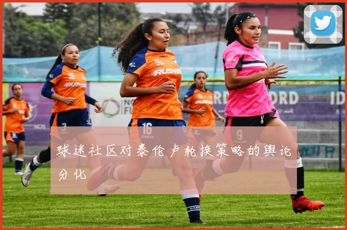 球迷社区对泰伦卢轮换策略的舆论分化