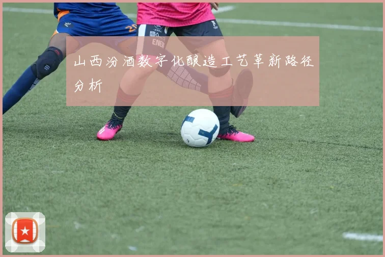 山西汾酒数字化酿造工艺革新路径分析