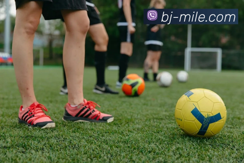 米乐M10平台生态图