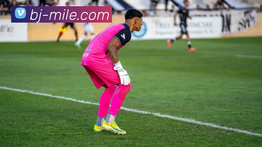 米乐M10APP 封面图